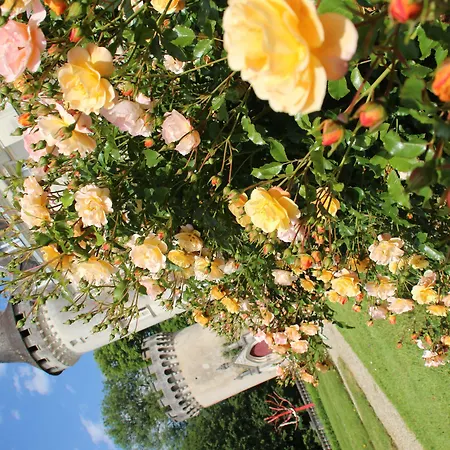 Chateau-hotel De Hotel Nieuil