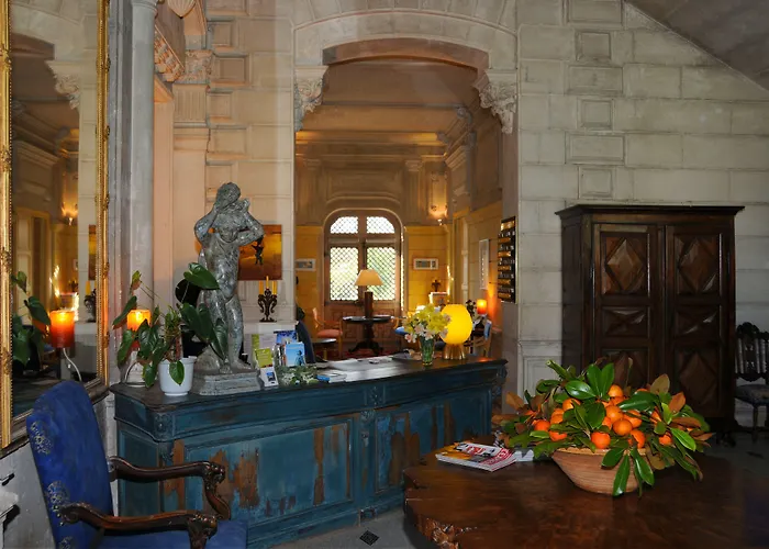 Hotel Chateau-hotel De Nieuil