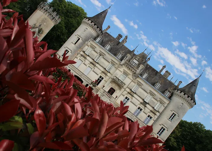 Hotel Chateau-hotel De Nieuil