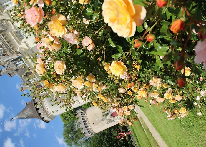 Chateau-hotel De Hotel Nieuil