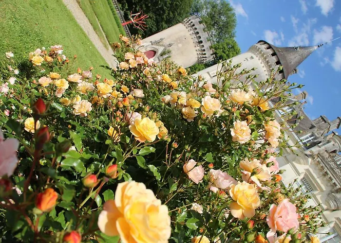 Chateau-hotel De Hotel 3*